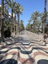 ALICANTE 2025